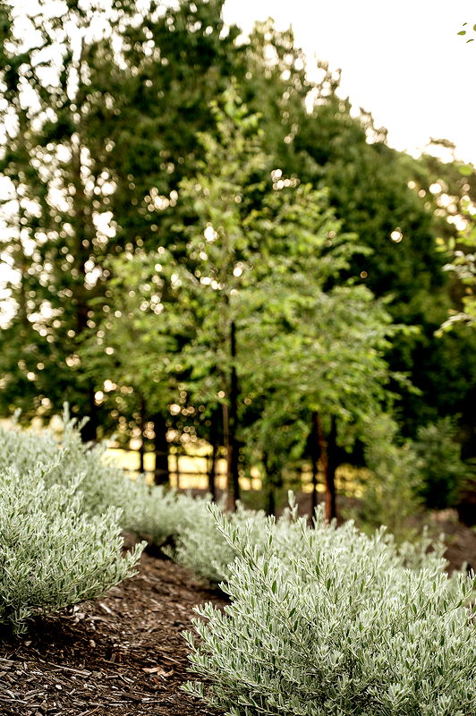 Berry Luxury Barn House (Heated Pool)