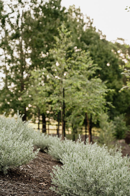 Berry Luxury Barn House (Heated Pool)