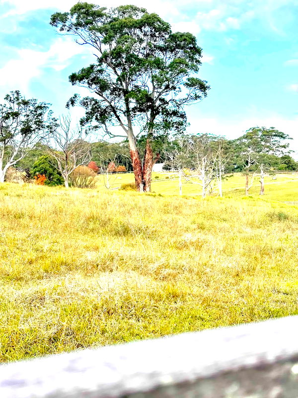 Berry Luxury Barn House (Heated Pool)