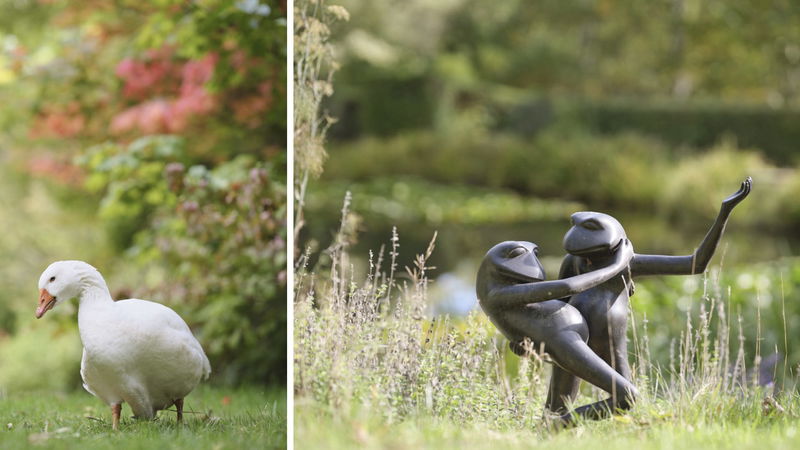 Tieve Tara (With Car Parking)