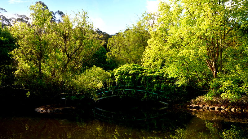 Tieve Tara (With Car Parking)