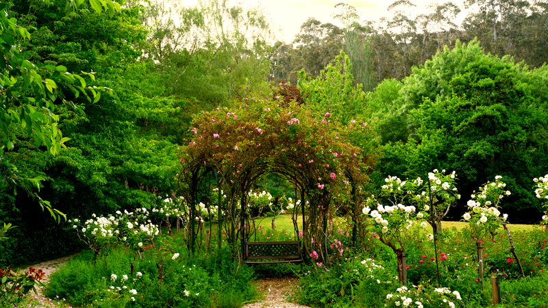 Tieve Tara (With Car Parking)