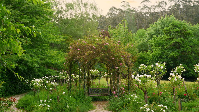 Tieve Tara (With Car Parking)