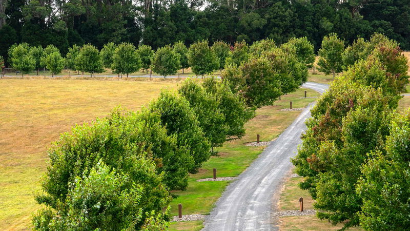 Maple Rise (With Car Parking)