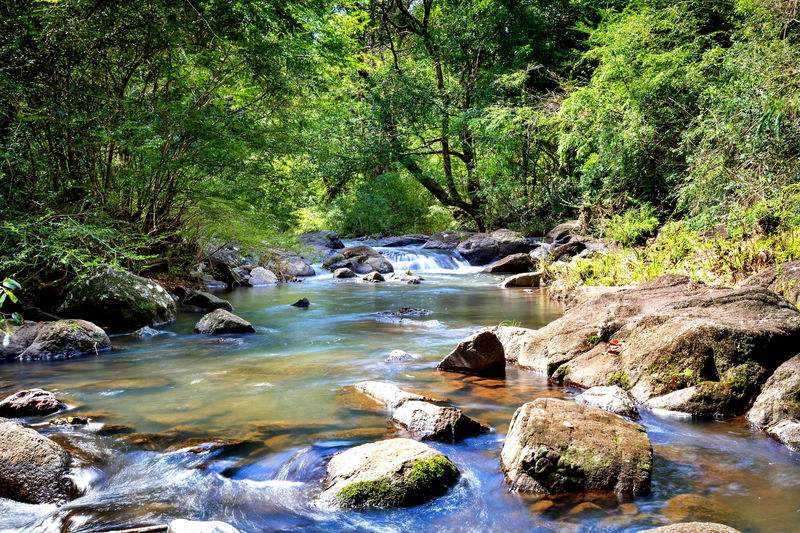 Bodhi Nature - Pool, Hinterland Views, Yoga Studio