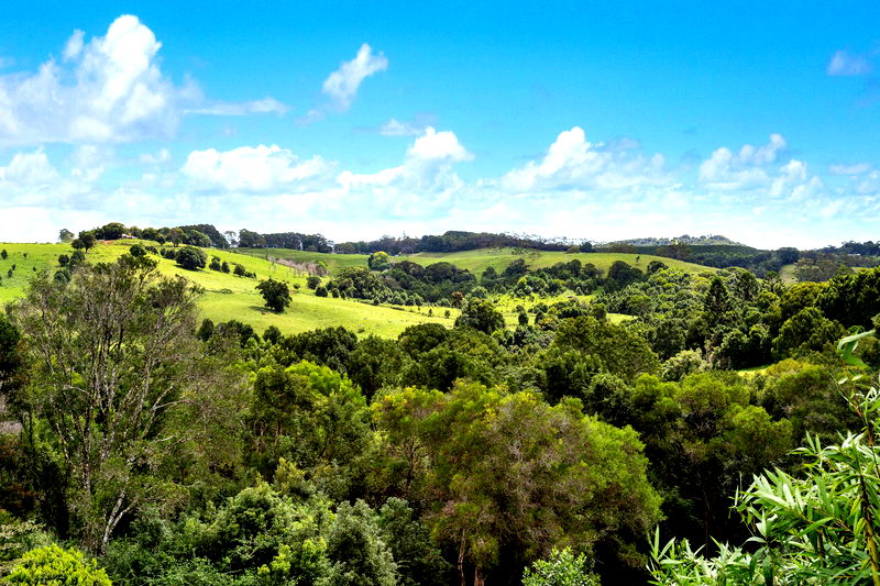 Bodhi Nature - breathtaking hinterland view