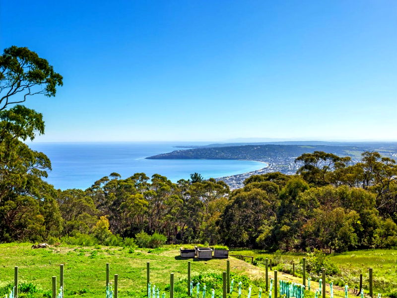 The Perch (Heated Pool)