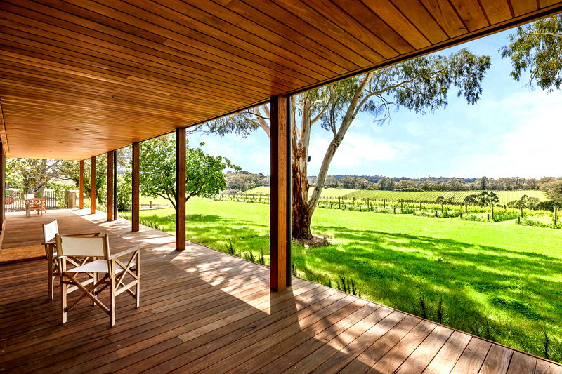 The Vines Main Ridge