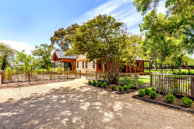 The Vines Main Ridge