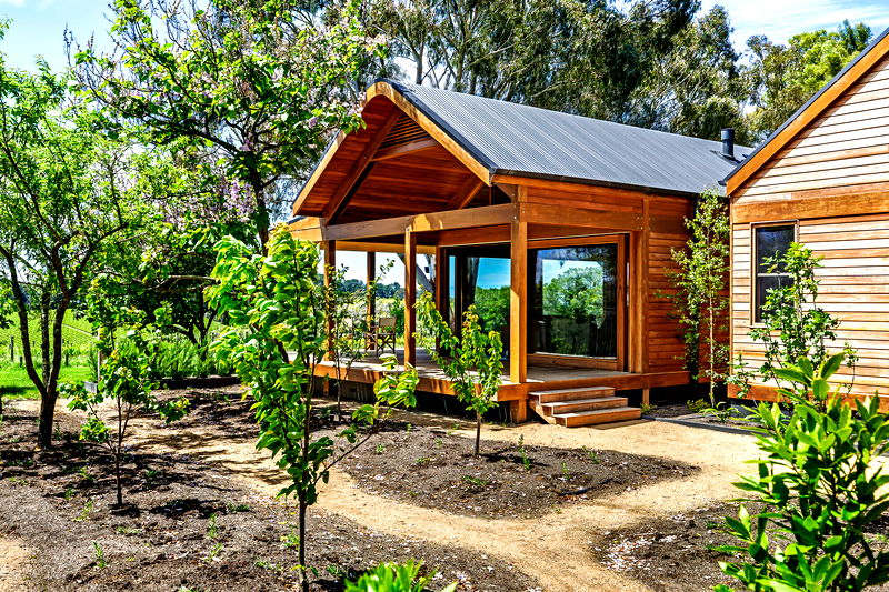 The Vines Main Ridge