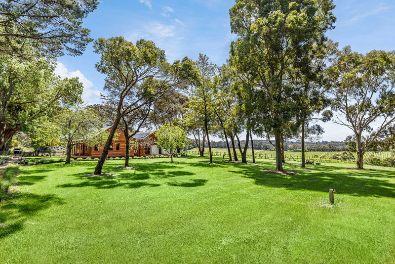 The Vines Main Ridge - NEW property with summer availability