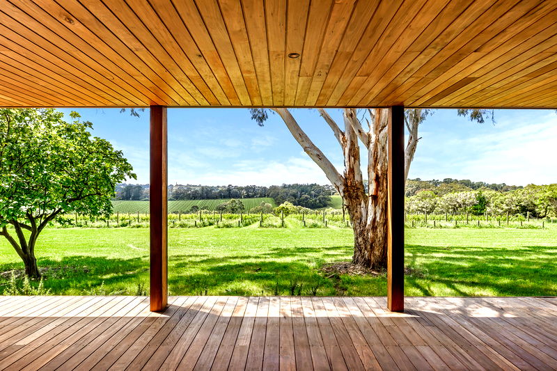 The Vines Main Ridge