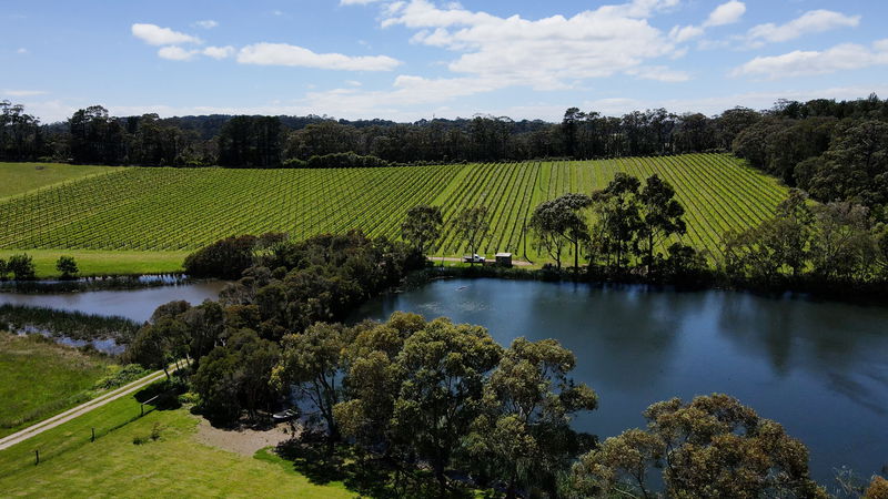 The Vines Main Ridge - NEW property with summer availability