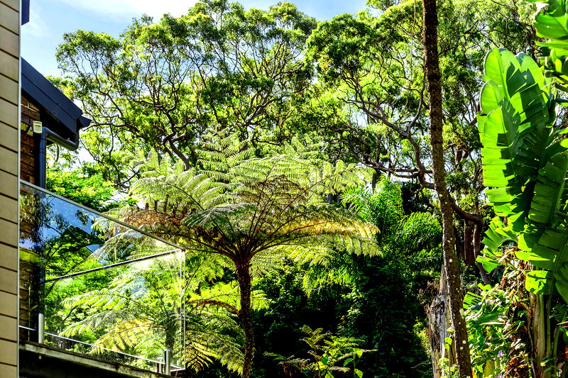 Clifton Luxury Eco Retreat (Walk to the beach)