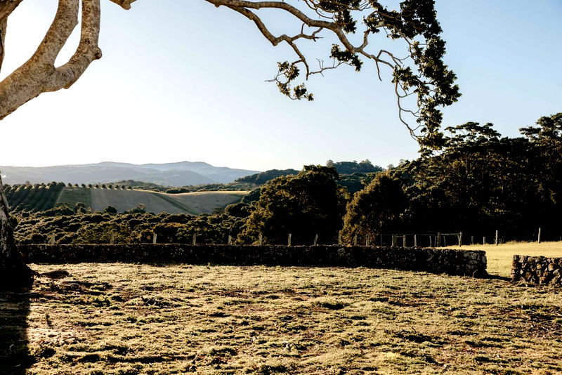 Amelika - luxury 25 acre estate with pool