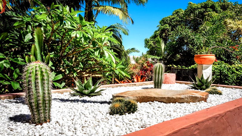 Casa Bonita - retro-chic home with pool