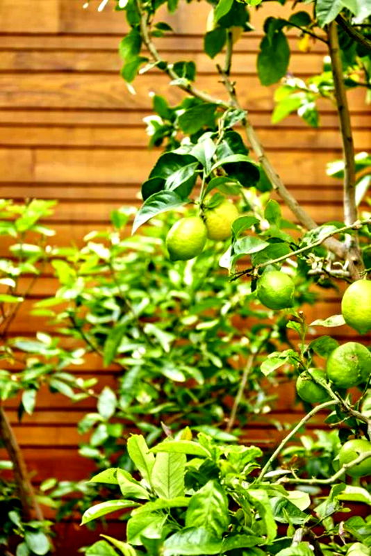 Hartpury (Heated Pool)