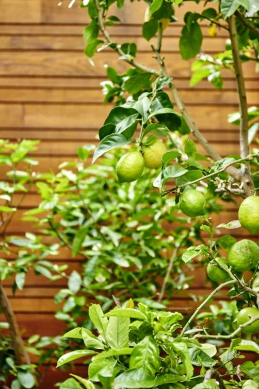 Hartpury (Heated Pool)