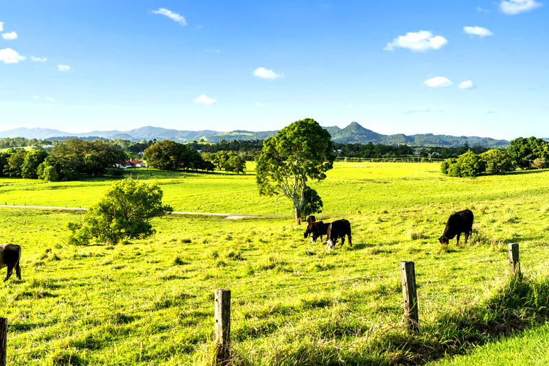 Wandarra - family hinterland home
