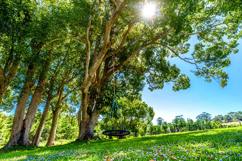 Sedona - exquisite into every corner