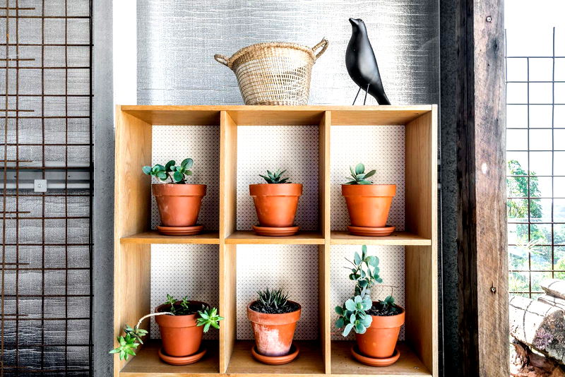 Pacific Byron Hinterland