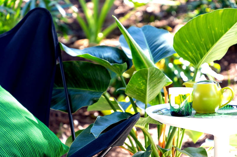 42 Byron (Central Byron, Walk to Beach)