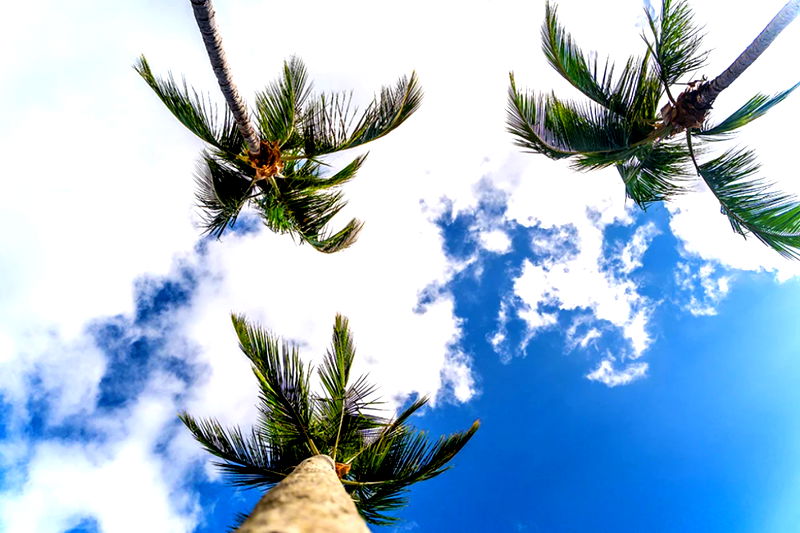 Turquoise (Heated Pool)