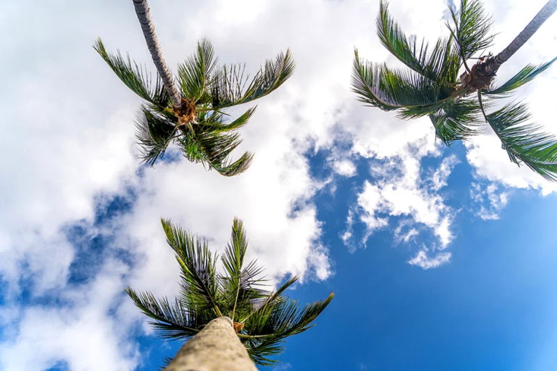 Turquoise (Heated Pool)