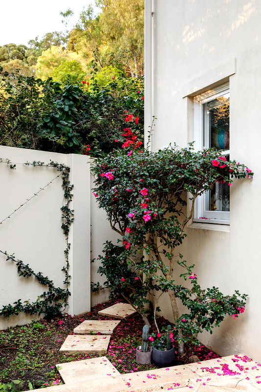 Paddington Park View