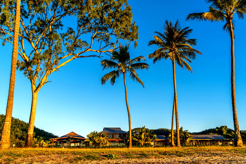 Celeste (Walk to Beach)