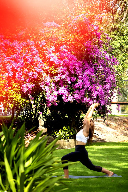 Makepeace Island (Ocean Views)