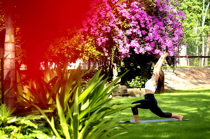 Makepeace Island (Ocean Views)