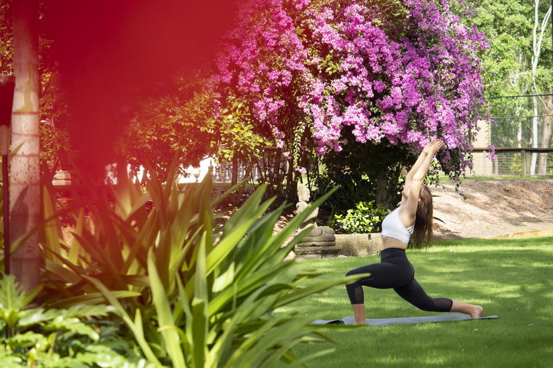 Makepeace Island (Ocean Views)