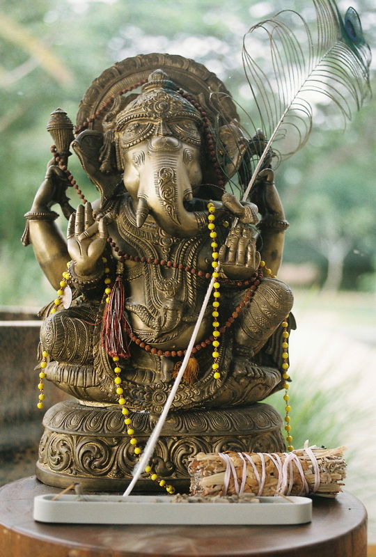 Soma Byron - contemporary hinterland oasis