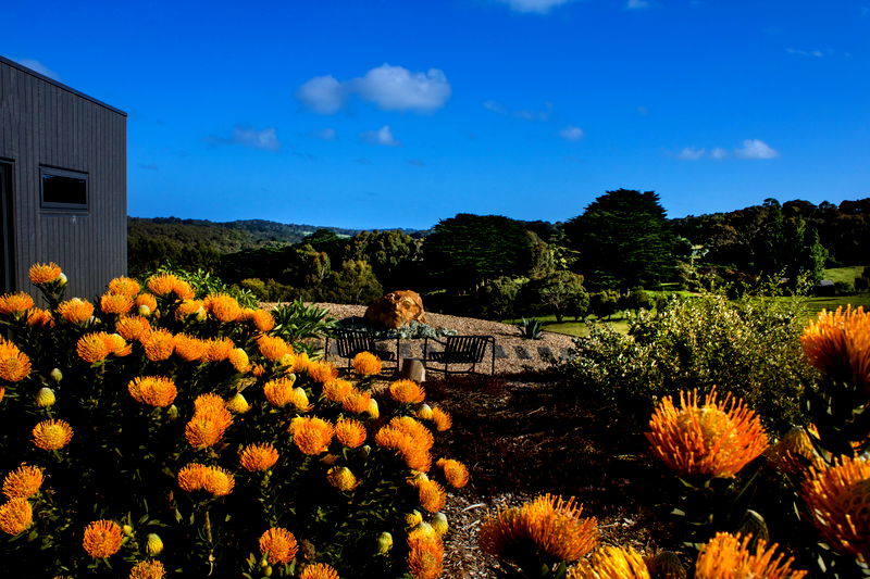 Allambee at Red Hill (Farm Stay)