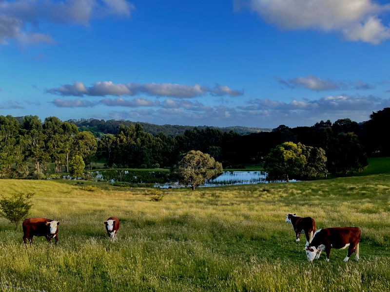 Allambee at Red Hill (Farm Stay)