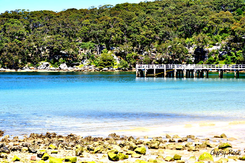 Balmoral Beach View