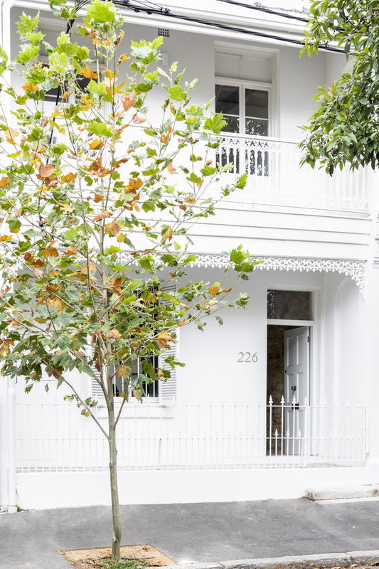 Palmer Terrace (City Location)