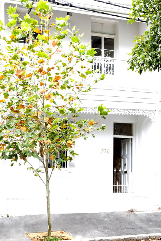 Palmer Terrace (City Location)