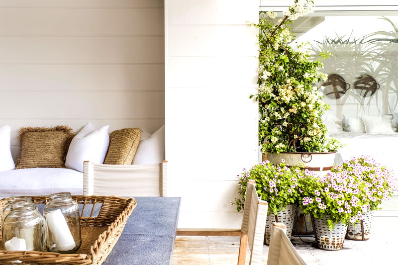 Wagstaffe Tropics (Walk to Beach)