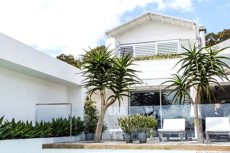 Wagstaffe Tropics (Walk to Beach)