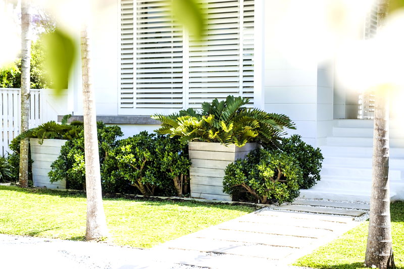 Wagstaffe Tropics (Walk to Beach)