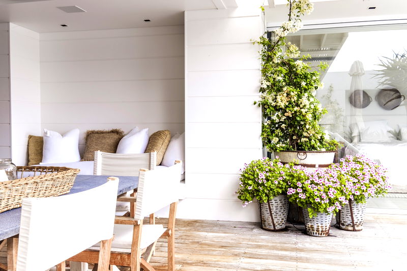 Wagstaffe Tropics (Walk to Beach)