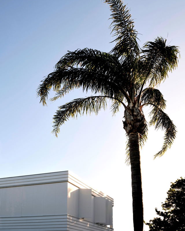 Palm Residence Coogee (Walk to Beach)