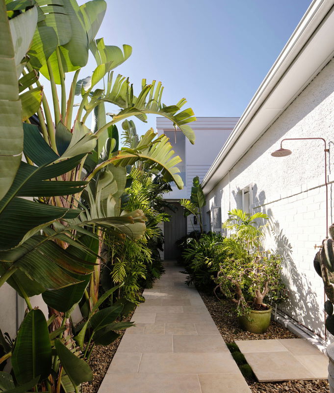 Palm Residence Coogee (Walk to Beach)