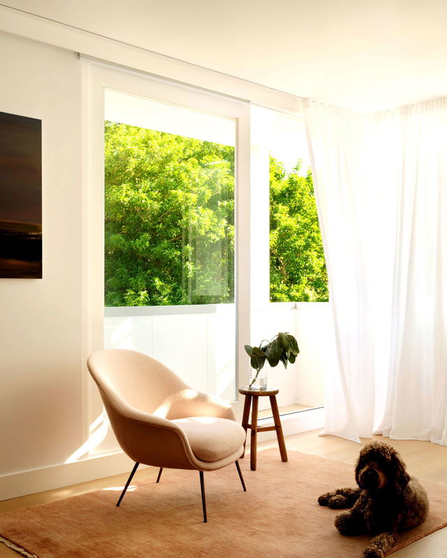 Palm Residence Coogee (Walk to Beach)