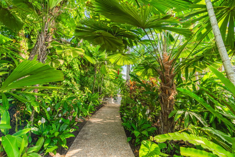 The Tropic Port Douglas (Heated pool)