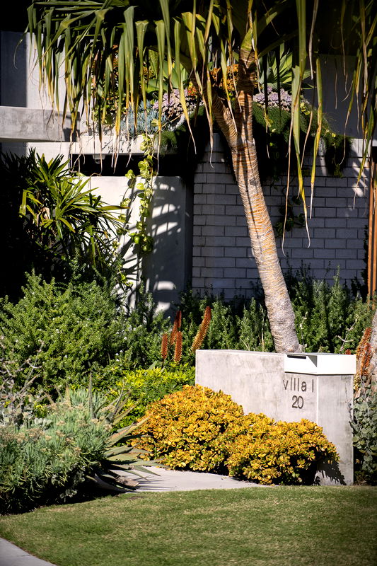 The Marlin (Walk to Beach)