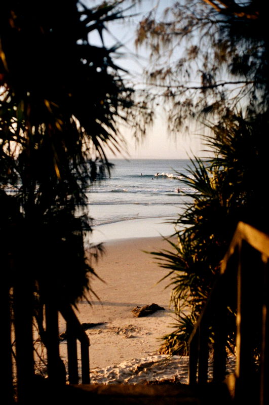 Damia (Pet Friendly)