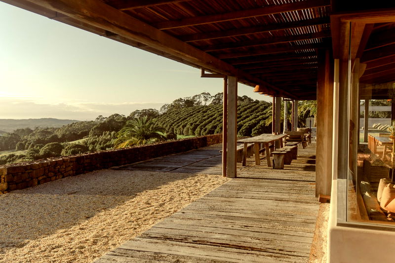 Damia (Pet Friendly)